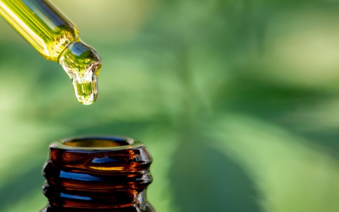 Family-Owned CBD Company With A Mission to Heal Through Nature 